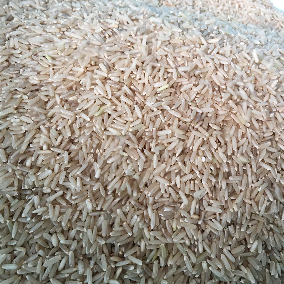 Máy xát gạo lứt